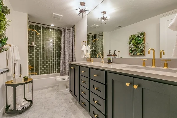 Remodeler Remodeler